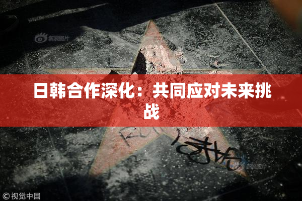 日韩合作深化：共同应对未来挑战