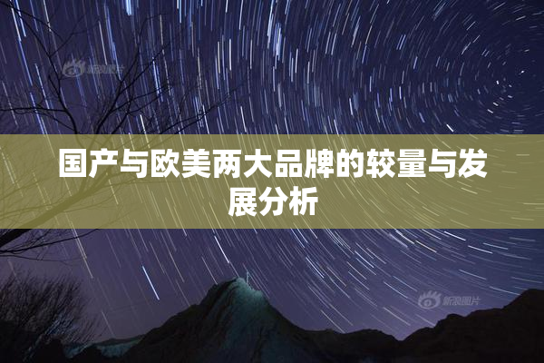 国产与欧美两大品牌的较量与发展分析