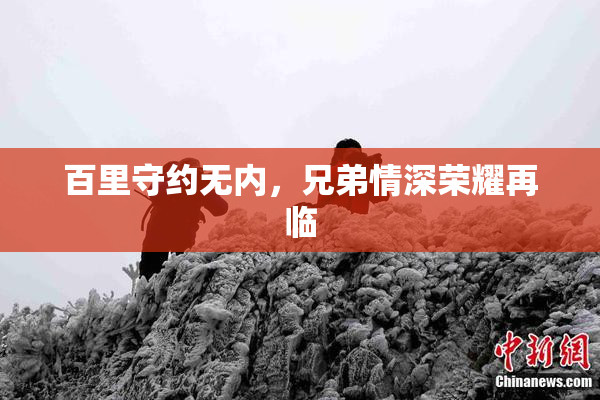 百里守约无内，兄弟情深荣耀再临