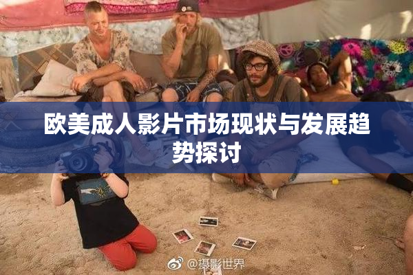 欧美成人影片市场现状与发展趋势探讨