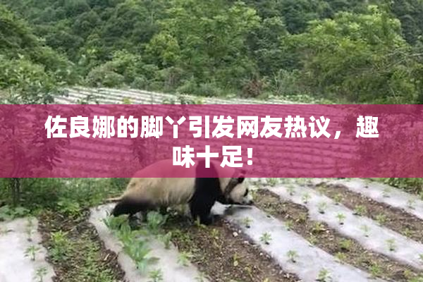 佐良娜的脚丫引发网友热议，趣味十足！