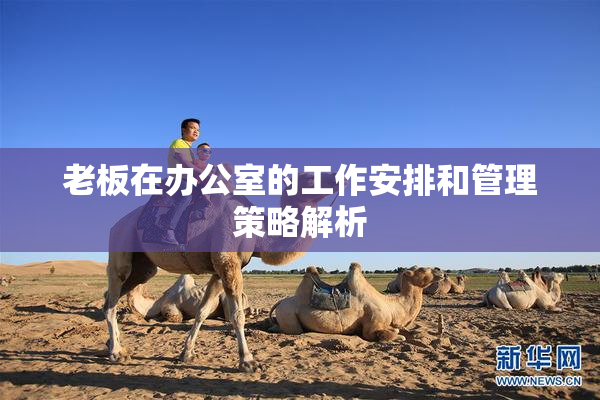 老板在办公室的工作安排和管理策略解析
