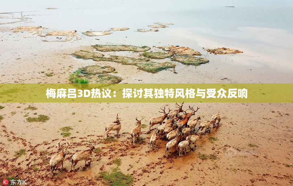 梅麻吕3D热议：探讨其独特风格与受众反响