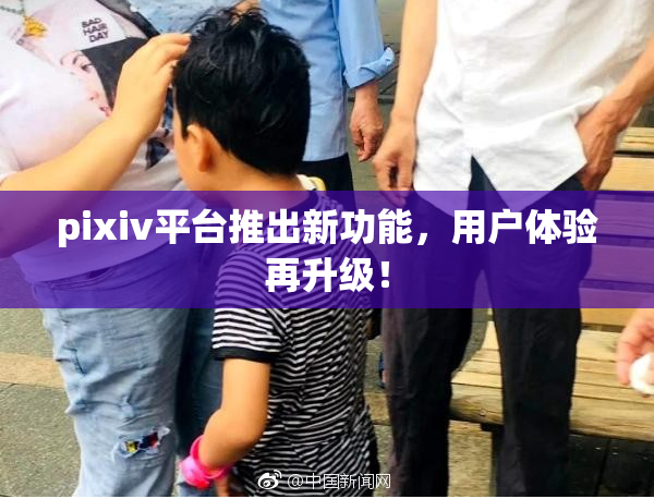 pixiv平台推出新功能，用户体验再升级！