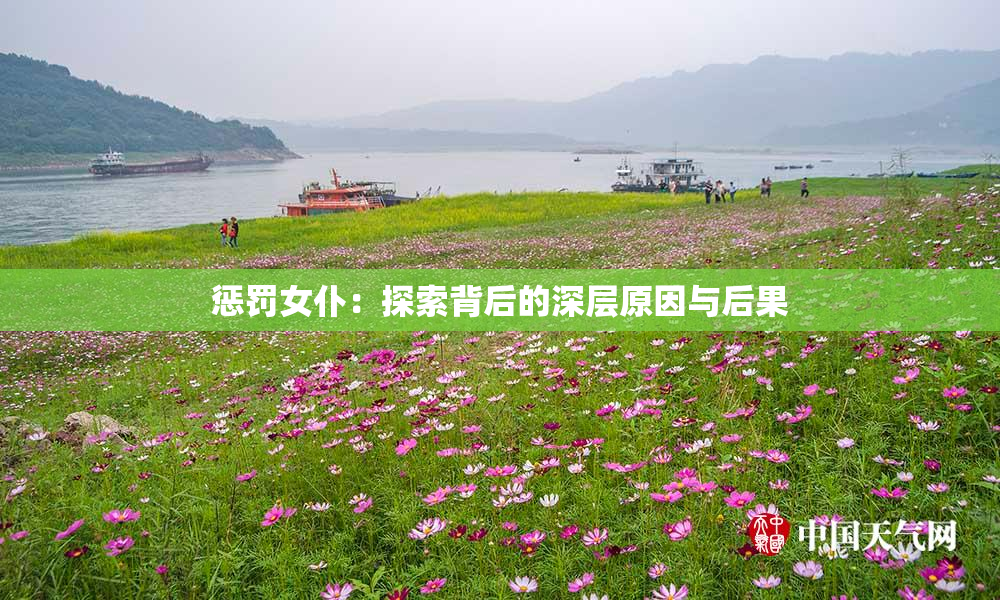 惩罚女仆：探索背后的深层原因与后果