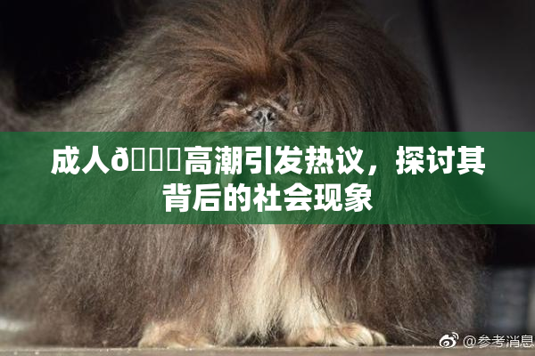成人🔞高潮引发热议，探讨其背后的社会现象