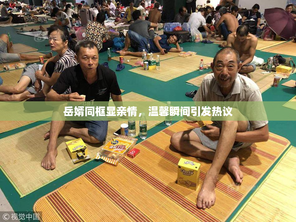 岳婿同框显亲情，温馨瞬间引发热议