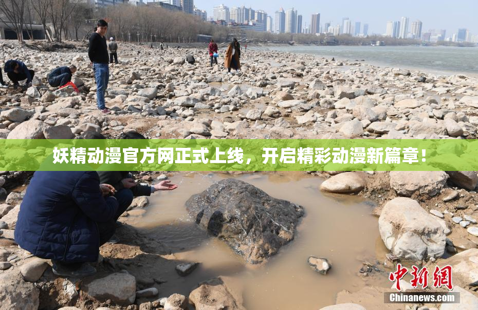 妖精动漫官方网正式上线，开启精彩动漫新篇章！
