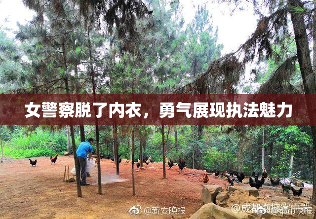 女警察脱了内衣，勇气展现执法魅力