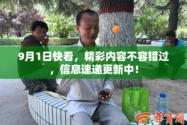 9月1日快看，精彩内容不容错过，信息速递更新中！