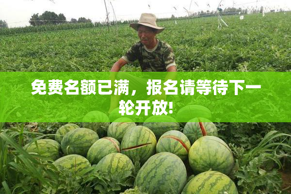 免费名额已满，报名请等待下一轮开放!