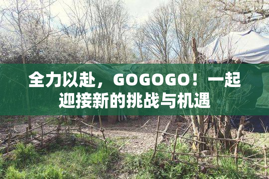 全力以赴，GOGOGO！一起迎接新的挑战与机遇