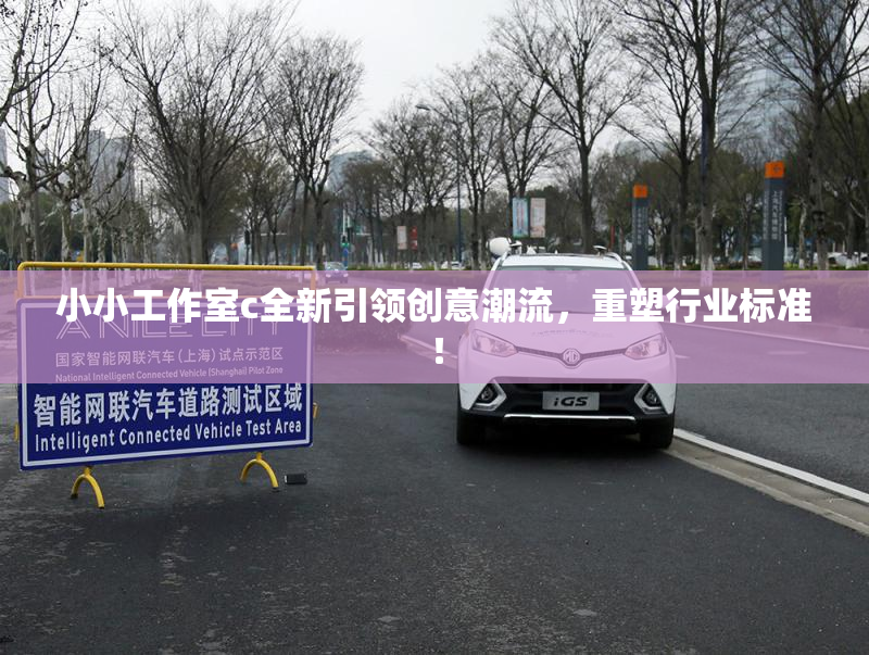 小小工作室c全新引领创意潮流，重塑行业标准！