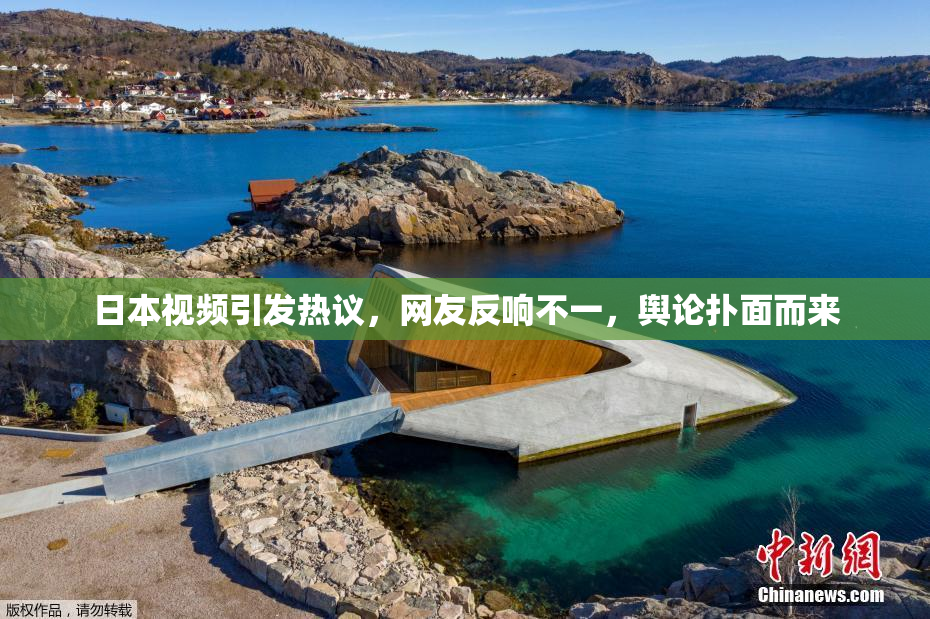 日本视频引发热议，网友反响不一，舆论扑面而来