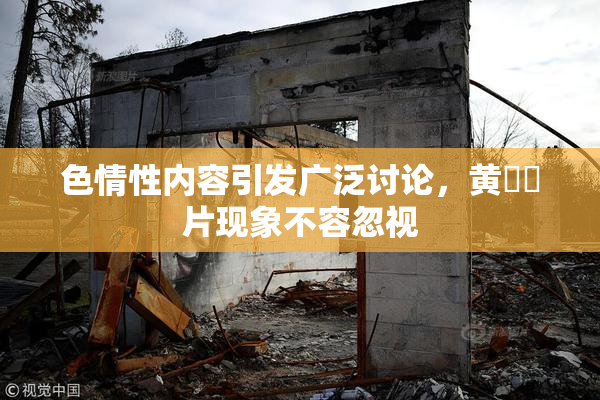 色情性内容引发广泛讨论，黄❌‌片现象不容忽视