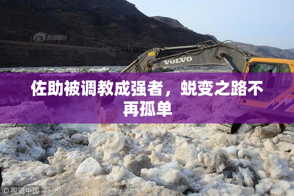 佐助被调教成强者，蜕变之路不再孤单