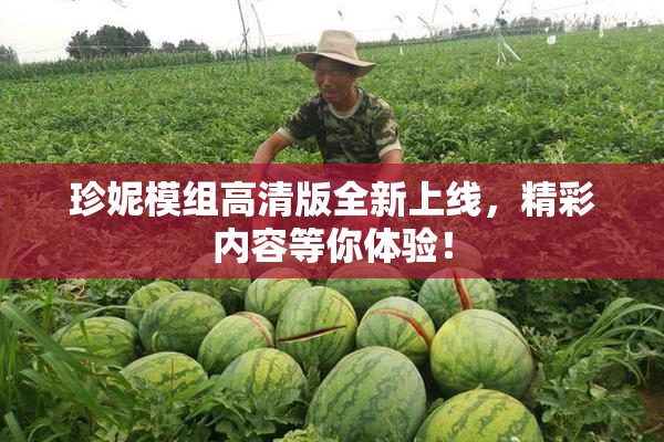 珍妮模组高清版全新上线，精彩内容等你体验！