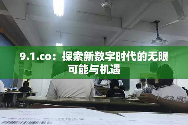 9.1.co：探索新数字时代的无限可能与机遇