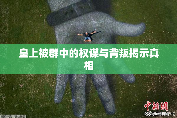 皇上被群中的权谋与背叛揭示真相