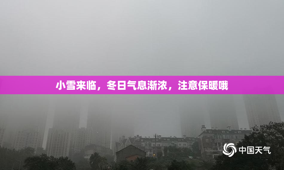 小雪来临，冬日气息渐浓，注意保暖哦