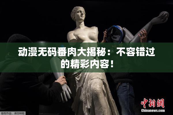 动漫无码番肉大揭秘：不容错过的精彩内容！