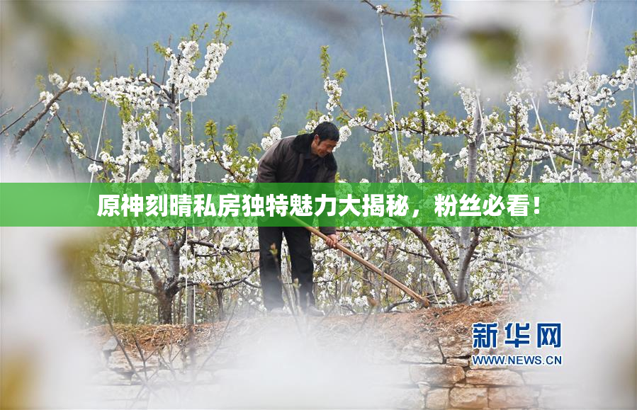 原神刻晴私房独特魅力大揭秘，粉丝必看！