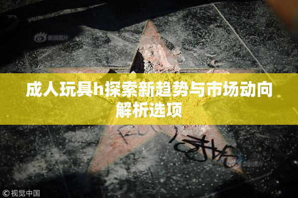 成人玩具h探索新趋势与市场动向解析选项