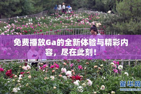 免费播放Ga的全新体验与精彩内容，尽在此刻！