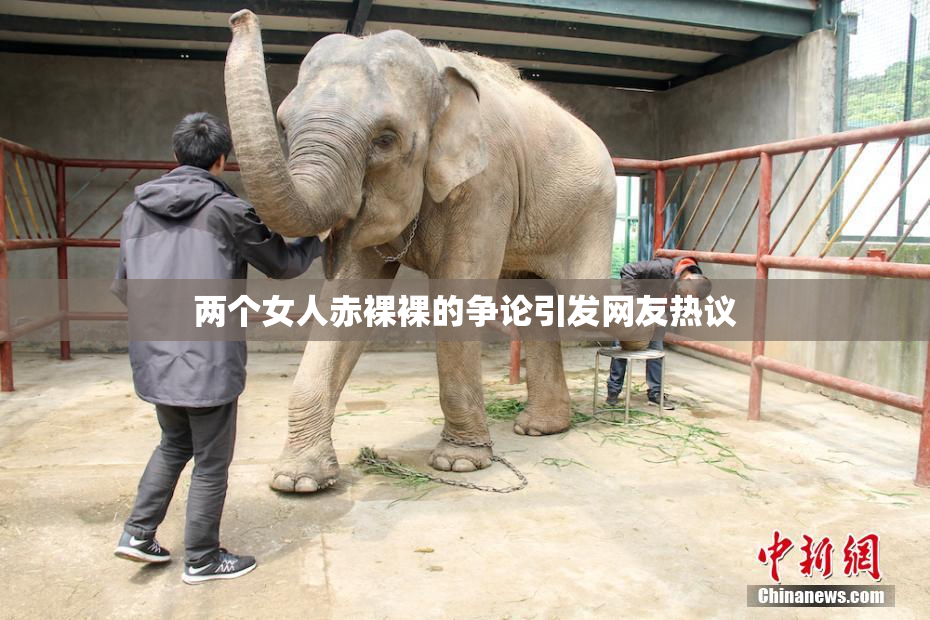 两个女人赤裸裸的争论引发网友热议