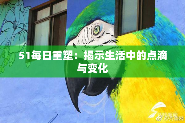 51每日重塑：揭示生活中的点滴与变化
