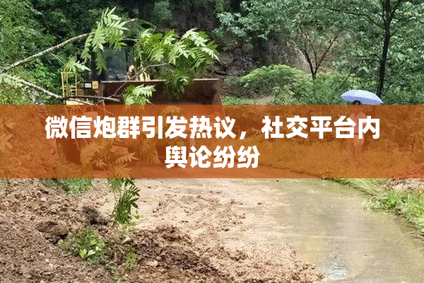 微信炮群引发热议，社交平台内舆论纷纷