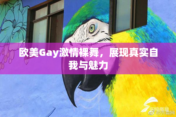 欧美Gay激情裸舞，展现真实自我与魅力