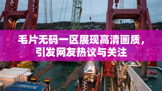 毛片无码一区展现高清画质，引发网友热议与关注