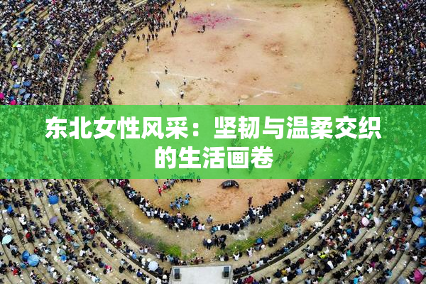 东北女性风采：坚韧与温柔交织的生活画卷