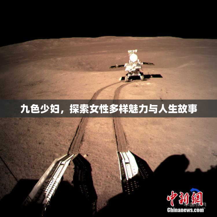 九色少妇，探索女性多样魅力与人生故事