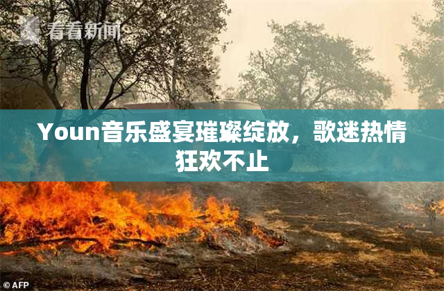 Youn音乐盛宴璀璨绽放，歌迷热情狂欢不止
