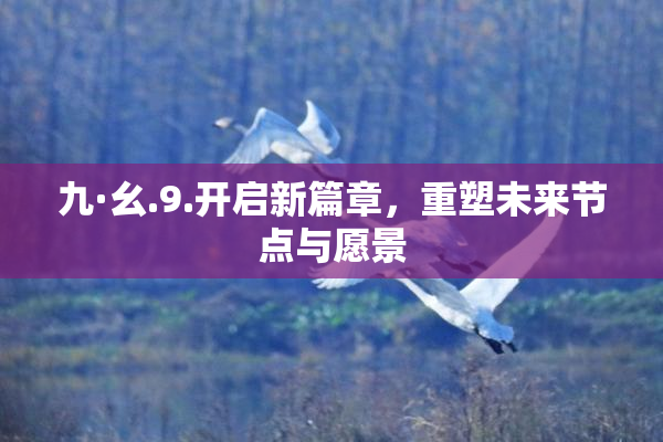 九·幺.9.开启新篇章，重塑未来节点与愿景