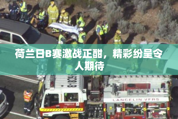 荷兰日B赛激战正酣，精彩纷呈令人期待