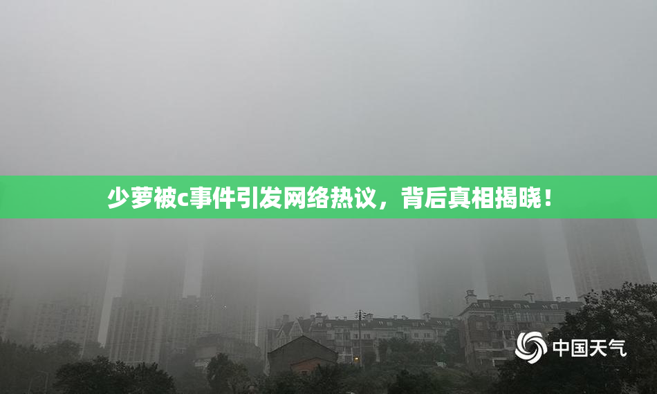 少萝被c事件引发网络热议，背后真相揭晓！