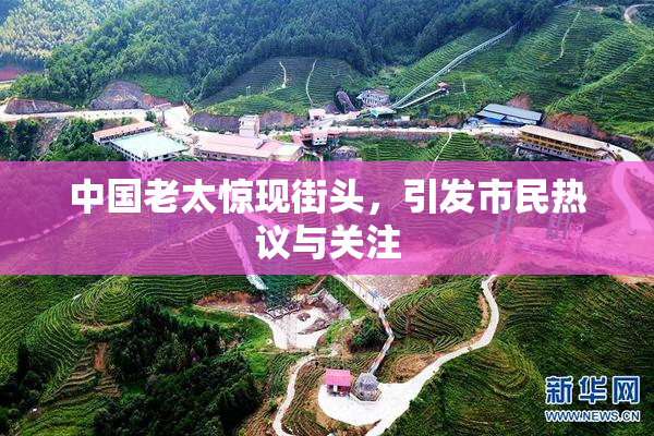 中国老太惊现街头，引发市民热议与关注