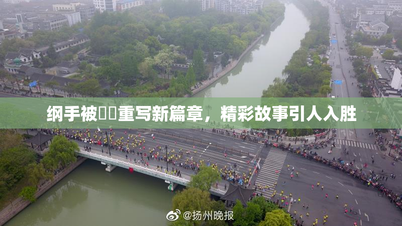 纲手被❌‌重写新篇章，精彩故事引人入胜