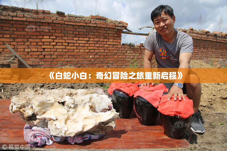 《白蛇小白：奇幻冒险之旅重新启程》