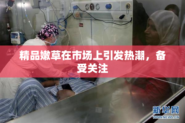 精品嫩草在市场上引发热潮，备受关注