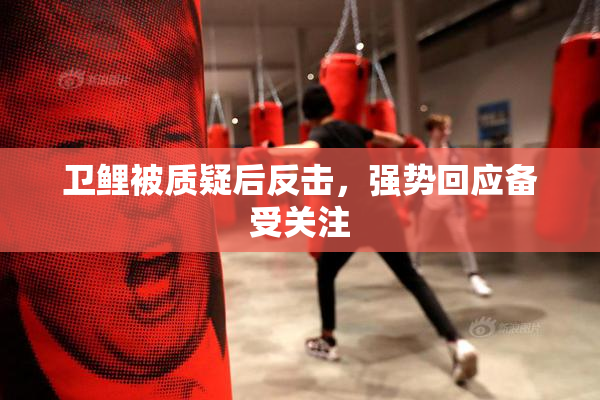 卫鲤被质疑后反击，强势回应备受关注