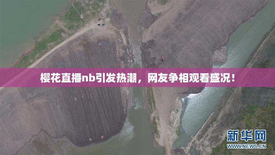 樱花直播nb引发热潮，网友争相观看盛况！