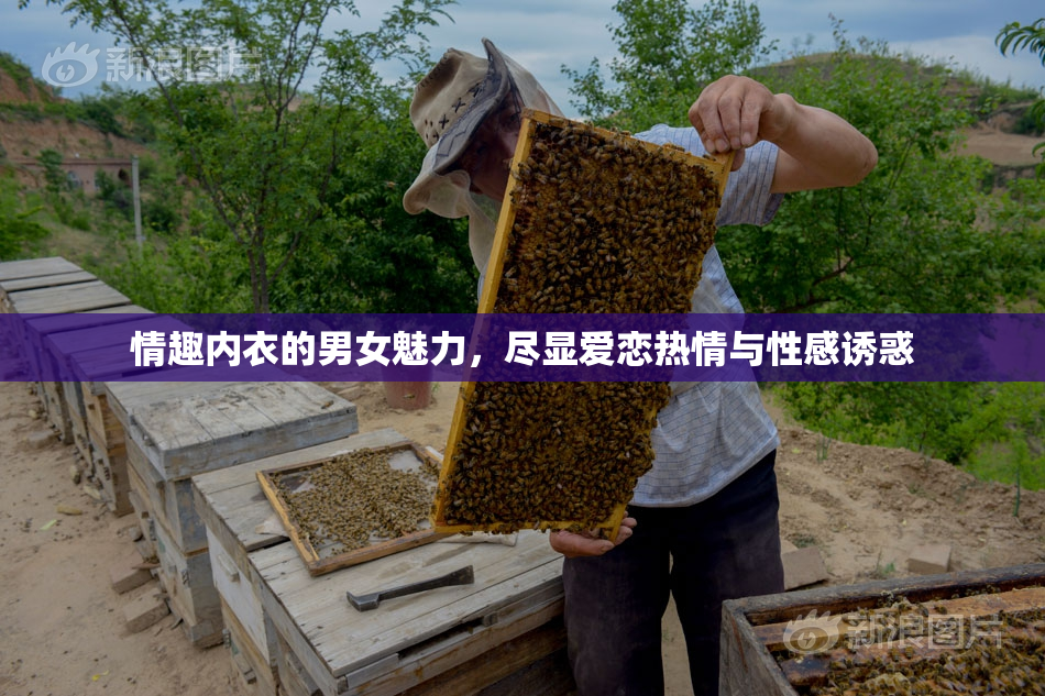 情趣内衣的男女魅力，尽显爱恋热情与性感诱惑