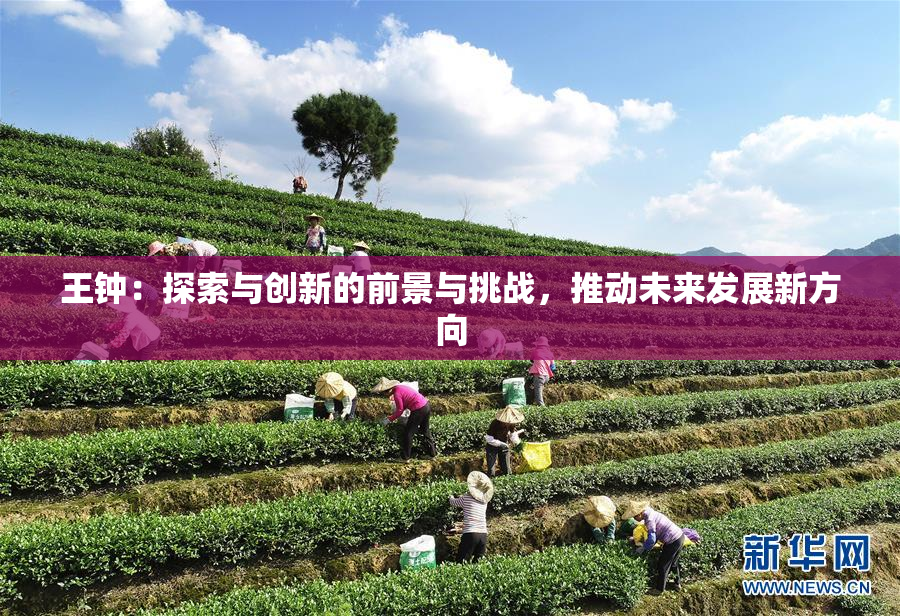 王钟：探索与创新的前景与挑战，推动未来发展新方向