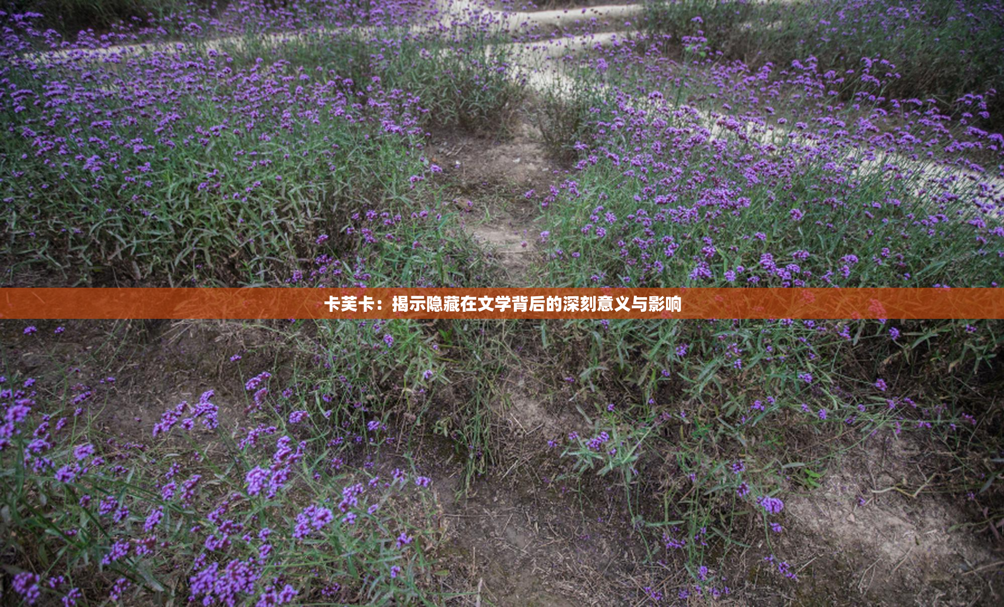 卡芙卡：揭示隐藏在文学背后的深刻意义与影响
