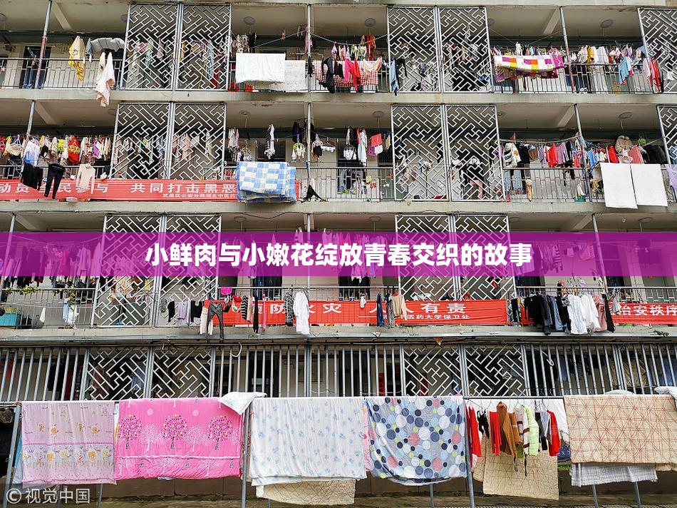 小鲜肉与小嫩花绽放青春交织的故事