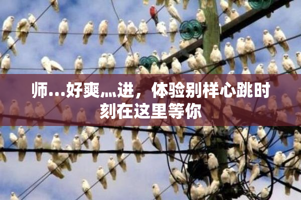 师…好爽灬进，体验别样心跳时刻在这里等你